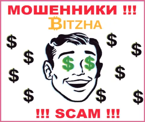 Контора Bitzha 24 - это КИДАЛЫ !!! Работают противоправно, т.к. у них нет регулятора