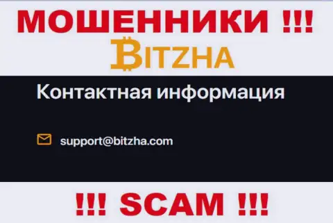 Электронная почта разводняка Битжа, информация с официального веб-сайта