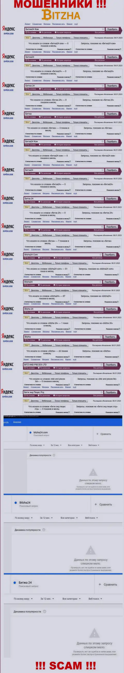 Сколько именно раз пользователи всемирной интернет сети искали сведения о обманщиках Bitzha ?