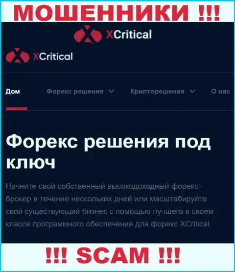 XCritical - это подозрительная организация, сфера деятельности которой - ФОРЕКС