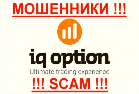 Ай Ку Опцион - это МОШЕННИКИ !!! SCAM !!!