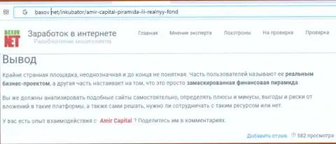 Чем чревато совместное взаимодействие с организацией Amir Capital ??? Обзорная статья об воре